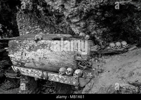 Tana Toraja - i funerali, tombe, luoghi di sepoltura in grotte. Skiff umane intorno a luoghi di sepoltura sono comuni. A Sud di Sulawesi, Indonesia. Foto Stock