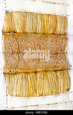 Typha domingensis, libero mercato, Belem, Paraiba, Brasile Foto Stock