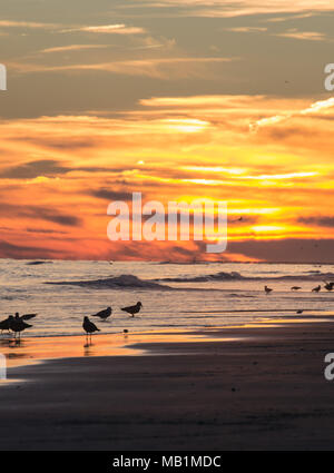 Tramonto con il fuoco nel cielo - Isola di Smeraldo Beach North Carolina. Vedere la bellezza del cielo come le nuvole si raccolgono nel dipinto di rosso, arancione, rosa, incandescente Foto Stock