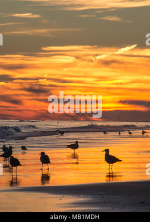 Tramonto con il fuoco nel cielo - Isola di Smeraldo Beach North Carolina. Vedere la bellezza del cielo come le nuvole si raccolgono nel dipinto di rosso, arancione, rosa, incandescente Foto Stock