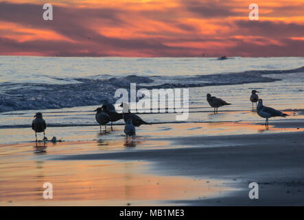 Tramonto con il fuoco nel cielo - Isola di Smeraldo Beach North Carolina. Vedere la bellezza del cielo come le nuvole si raccolgono nel dipinto di rosso, arancione, rosa, incandescente Foto Stock