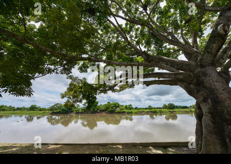 Vista del fiume Magdalena incorniciato da alberi in Mompox, Colombia. Foto Stock