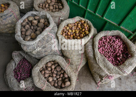 I sacchi con patate nel mercato Silvia, Popayan (Colombia). Foto Stock