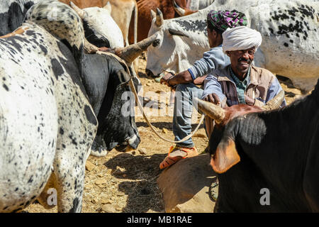Aksum, Etiopia - 13 Gennaio 2018: persone non identificate vendere e acquistare degli animali al mercato di animali in Aksum, Etiopia. Foto Stock