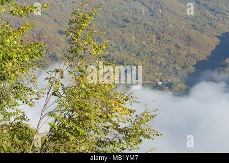 Vista del basso cloud in valle e albero rivestito di pendenza moutain, fiume Drina Tara, Parco Nazionale, Serbia, Ottobre Foto Stock