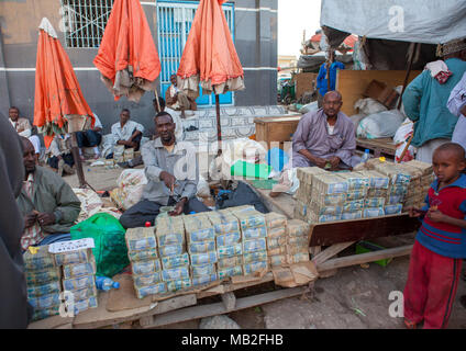 Mazzette di cambiavalute su uno stallo in strada, Woqooyi Galbeed regione, Hargeisa, il Somaliland Foto Stock