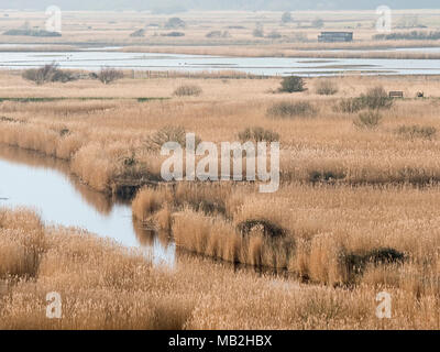 Vista dalla Dunwich Hearh attraverso Minsmere riserva RSPB inverno Foto Stock