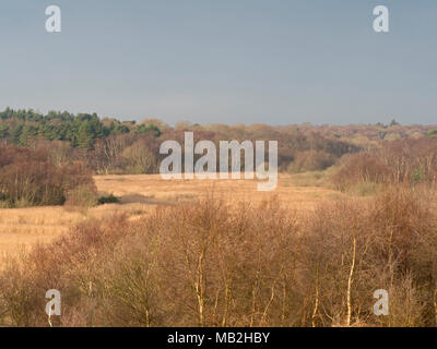 Vista dalla Dunwich Hearh attraverso Minsmere riserva RSPB inverno Foto Stock