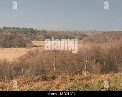 Vista dalla Dunwich Hearh attraverso Minsmere riserva RSPB inverno Foto Stock