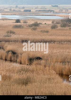 Vista dalla Dunwich Hearh attraverso Minsmere riserva RSPB inverno Foto Stock