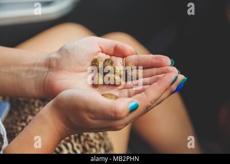 Giovane ragazza tenendo i dadi di arachidi Foto Stock