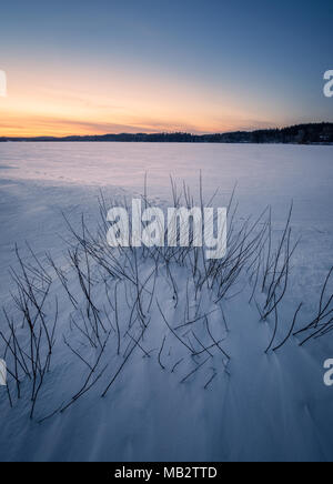 Incantevole paesaggio invernale con la neve e il tramonto in serata in Finlandia Foto Stock