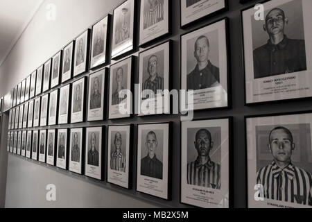 I ritratti delle vittime nel campo di concentramento di Auschwitz, Oswiecim, Polonia Foto Stock