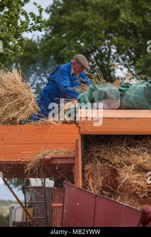 Vapore Kelsall Fair 2013, Cheshire. Foto Stock