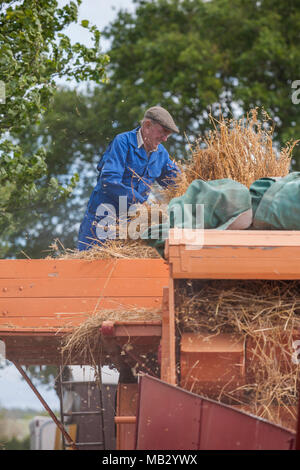 Vapore Kelsall Fair 2013, Cheshire. Foto Stock