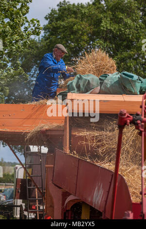 Vapore Kelsall Fair 2013, Cheshire. Foto Stock