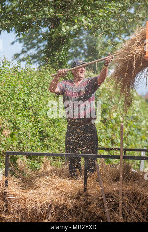 Vapore Kelsall Fair 2013, Cheshire. Foto Stock