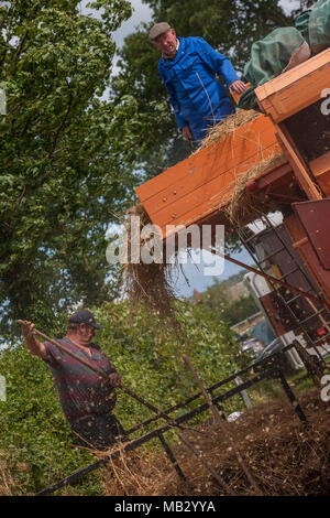 Vapore Kelsall Fair 2013, Cheshire. Foto Stock