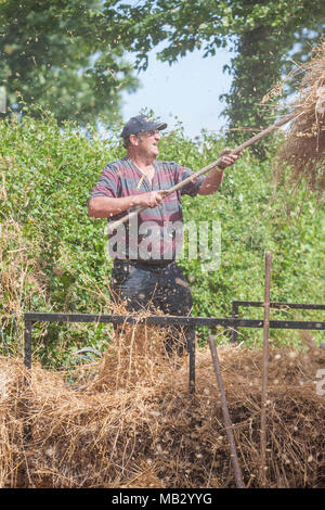 Vapore Kelsall Fair 2013, Cheshire. Foto Stock