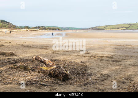 Llansteffan Spiaggia sul fiume Tywi estuario, Carmarthenshire, Galles del Sud Foto Stock