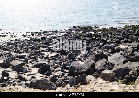 Sono andato su una classe di viaggio per raccogliere dati come il calcolo di elevazione del mare di fango o dati di lumaca Foto Stock