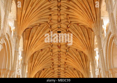 NORWICH, Regno Unito - 31 Marzo 2018: Close-up sul soffitto a volta del tetto della Cattedrale Foto Stock