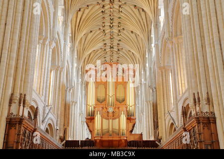 NORWICH, Regno Unito - 31 Marzo 2018: le colonne e il soffitto a volta del tetto della cattedrale vista dal presbiterio con l organo in background Foto Stock