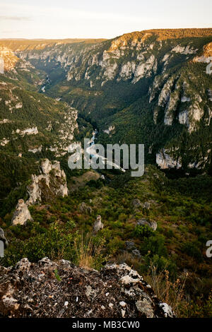 Le Gorges du Tarn un drammatico Limestone Gorge in esecuzione da Le Rozier, nord di Millau, Quézac, nel dipartimento della Lozère, Massiccio centrale in Francia. Foto Stock