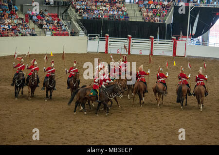 8 luglio 2014, Calgary Stampede, Calgary, Alberta. 1° Brigata meccanizzata canadese. Royal Canadians Regimental Unit Musical Ride. Foto Stock