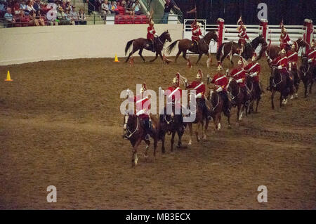 8 luglio 2014, Calgary Stampede, Calgary, Alberta. 1° Brigata meccanizzata canadese. Royal Canadians Regimental Unit Musical Ride. Foto Stock