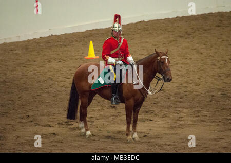 8 luglio 2014, Calgary Stampede, Calgary, Alberta. 1° Brigata meccanizzata canadese. Royal Canadians Regimental Unit Musical Ride. Foto Stock