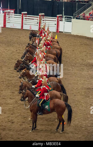 8 luglio 2014, Calgary Stampede, Calgary, Alberta. 1° Brigata meccanizzata canadese. Royal Canadians Regimental Unit Musical Ride. Foto Stock