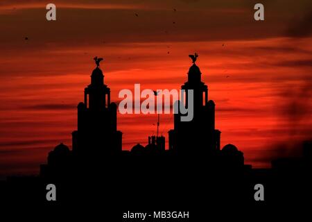 Royal Liver Building tramonto a Liverpool Foto Stock