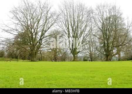 Deddington castello rimane in Oxfordshire, Regno Unito Foto Stock