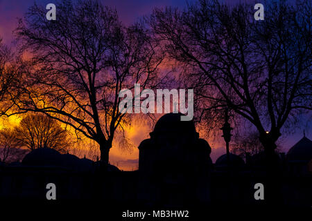 Tramonto sulla moschea e sul complesso Soliman. Istanbul, Turchia Foto Stock