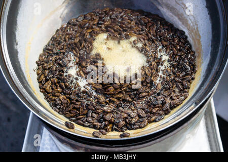 Pentola con la cottura beondegi, Silkworm pupe mangiato come Streetfood coreano a Jeju Island, Seogwipo Foto Stock