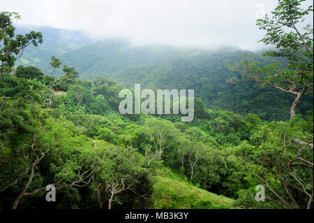 Lussureggiante vegetazione tropicale sotto una coltre di nubi rende Monteverde un paesaggio idilliaco. Foto Stock