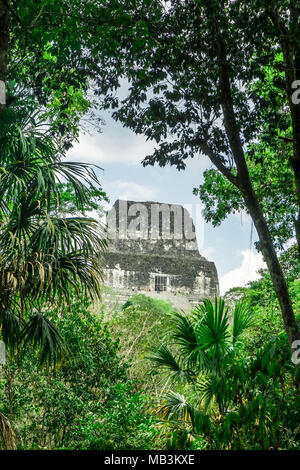 Vista sulla piramide nella giungla da Tikal - Guatemala Foto Stock
