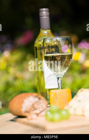 Selezione di colore rosso e verde UVA con un vassoio di formaggi in legno che serve di bordo su una giornata di sole Foto Stock