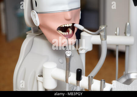 Manichino o dummy per il dentista gli studenti in formazione Facoltà di odontoiatria di medici scuole e università Foto Stock