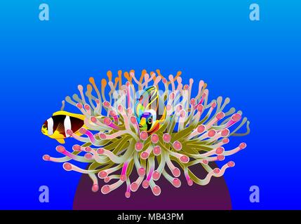 Cartoon pesci vivono nella barriera corallina in mare blu.tropicale naturale illustrazione vettoriale. Foto Stock