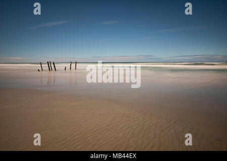 Il vecchio molo poli, St. Clair Beach, Dunedin, Nuova Zelanda Foto Stock