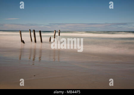 Il vecchio molo poli, St. Clair Beach, Dunedin, Nuova Zelanda Foto Stock