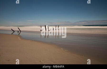 Il vecchio molo poli, St. Clair Beach, Dunedin, Nuova Zelanda Foto Stock