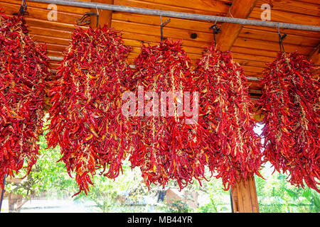 I grappoli di peperoncini piccanti appesi in ristorante, Marmaris, Mugla, Turchia Foto Stock