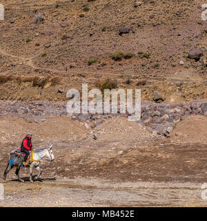 L'uomo su Donkey nella Pedemontana di atlas mountaing, Marocco Foto Stock