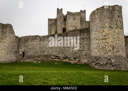 Castello di Trim, Co Meath Foto Stock