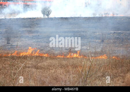 Un incendio di prati nei pressi di un grande complesso residenziale a Lublino. Foto Stock