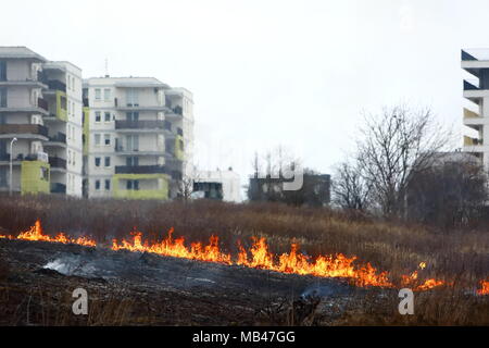 Un incendio di prati nei pressi di un grande complesso residenziale a Lublino. Foto Stock