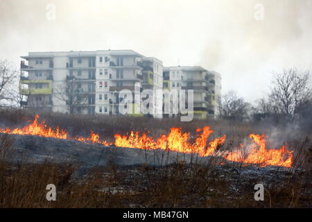 Un incendio di prati nei pressi di un grande complesso residenziale a Lublino. Foto Stock